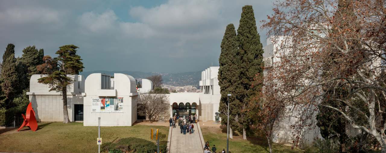 Con el fin de adaptar los baños a las necesidades actuales y respetar la integridad del edificio, los productos seleccionados deben transmitir los ideales contemporáneos de su arquitectura y ser accesibles e inclusivos. El diseño lineal y estructurado de los lavabos murales y las suaves curvas y volúmenes apilados de los inodoros suspendidos Roca Rimless® evocan una simplicidad atemporal y se hacen eco de los ideales modernistas del edificio de Sert. La colección Access, adecuada para todo tipo de usuarios, ha sido otra incorporación esencial a los baños, incluidos los asientos y tapas de inodoro, los espejos basculantes y los asientos de ducha abatibles. La elección de los dispensadores de toallas y las papeleras de la colección Public han contribuido a una mayor funcionalidad del espacio.16