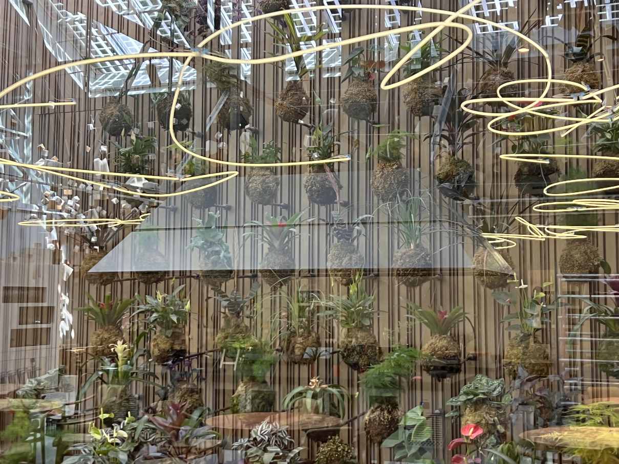 El restaurante Omeraki es pionero a la hora de ofrecer una experiencia gastronómica creativa y respetuosa con el medio ambiente. La sostenibilidad es el núcleo de su filosofía, que se traslada al diseño de los baños a través de los innovadores productos de Roca. Entre ellos destaca el icónico inodoro W+W, presente tanto en el baño de hombres como en el de mujeres, donde proporciona una solución sostenible y eficiente sin comprometer el diseño. La elegancia y funcionalidad del baño se ve realzada por los lavabos totem de Fineceramic® de la colección Beyond y la grifería electrónica Loft.11