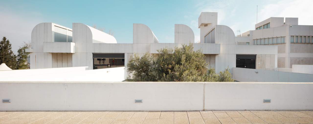 Con el fin de adaptar los baños a las necesidades actuales y respetar la integridad del edificio, los productos seleccionados deben transmitir los ideales contemporáneos de su arquitectura y ser accesibles e inclusivos. El diseño lineal y estructurado de los lavabos murales y las suaves curvas y volúmenes apilados de los inodoros suspendidos Roca Rimless® evocan una simplicidad atemporal y se hacen eco de los ideales modernistas del edificio de Sert. La colección Access, adecuada para todo tipo de usuarios, ha sido otra incorporación esencial a los baños, incluidos los asientos y tapas de inodoro, los espejos basculantes y los asientos de ducha abatibles. La elección de los dispensadores de toallas y las papeleras de la colección Public han contribuido a una mayor funcionalidad del espacio.19